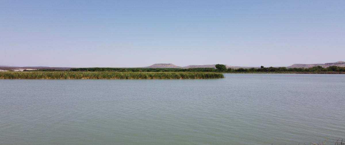 Foto de terreno habitacional en venta en  , ciudad camargo centro, camargo, chihuahua, 23459731 No. 04