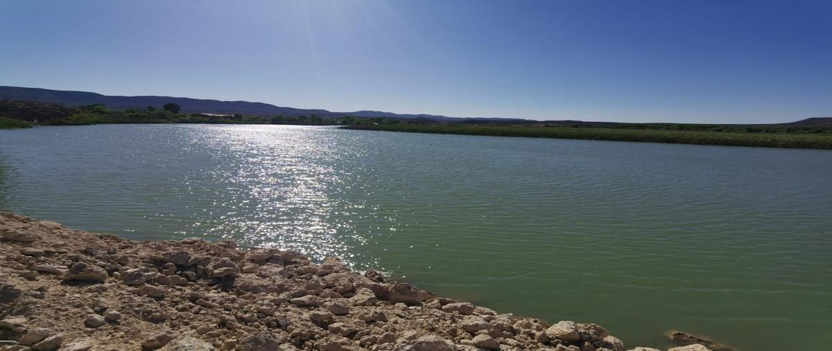 Foto de terreno habitacional en venta en  , ciudad camargo centro, camargo, chihuahua, 23459731 No. 05