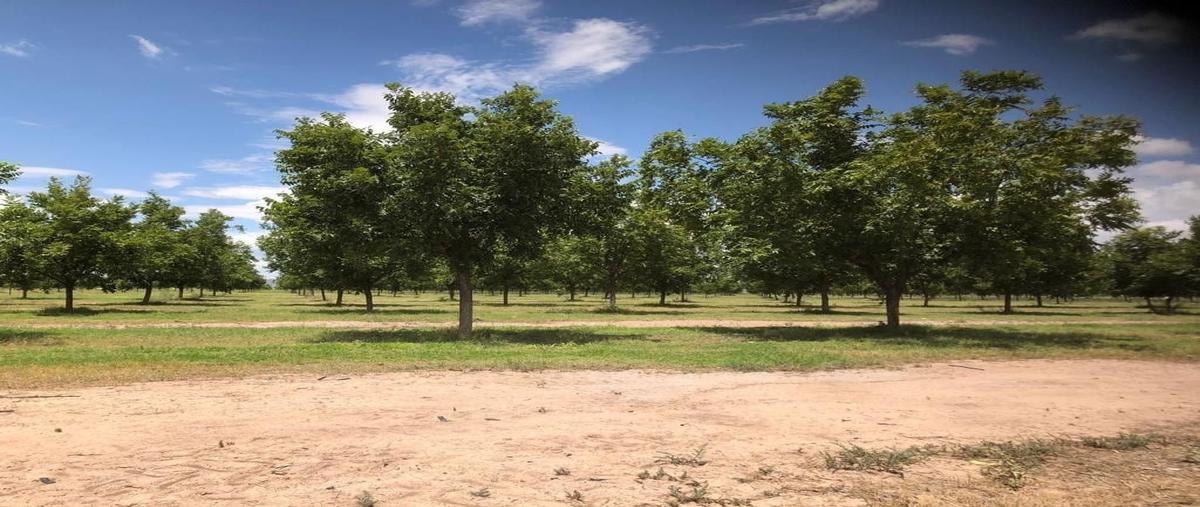 Foto de rancho en venta en  , ciudad camargo centro, camargo, chihuahua, 23999817 No. 03