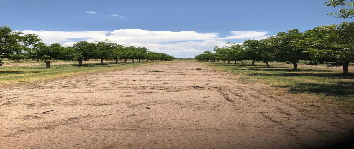 Foto de rancho en venta en  , ciudad camargo centro, camargo, chihuahua, 23999817 No. 05