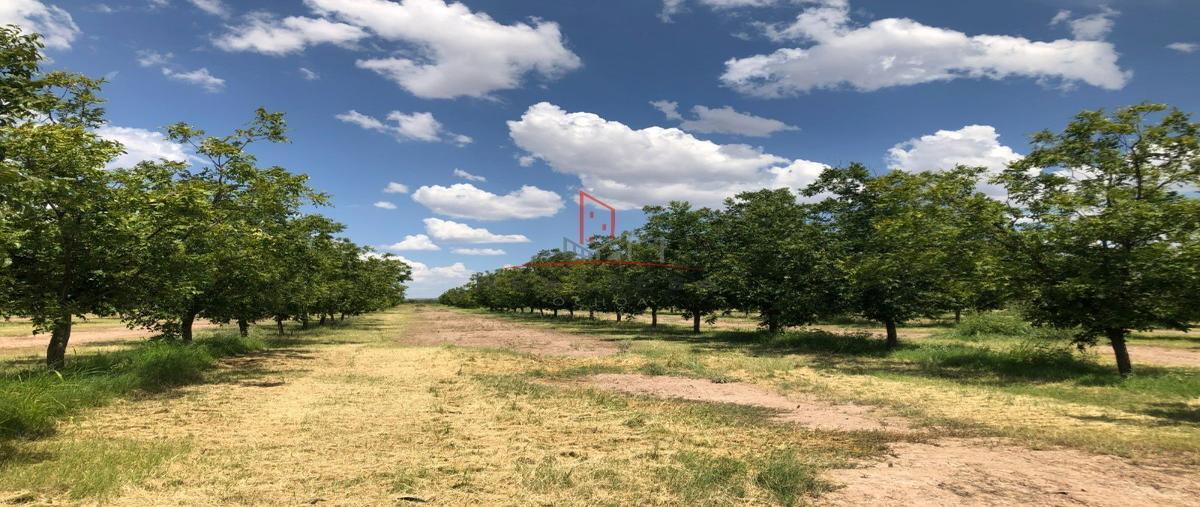 Foto de rancho en , ciudad camargo centro, camargo, chihuahua, 27709573 foto 01 Foto de rancho en venta en , ciudad camargo centro, camargo, chihuahua, 27709573 No. 01