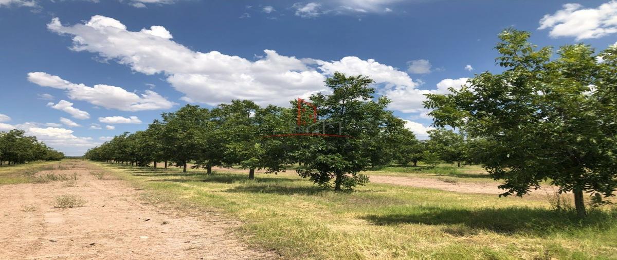 Foto de rancho en , ciudad camargo centro, camargo, chihuahua, 27709573 foto 02 Foto de rancho en venta en , ciudad camargo centro, camargo, chihuahua, 27709573 No. 02