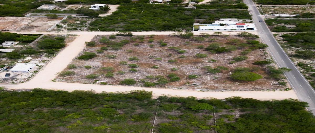 Foto de terreno habitacional en venta en  , ciudad caucel, mérida, yucatán, 27512613 No. 02
