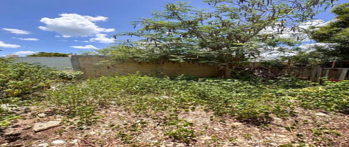 Foto de casa en venta en  , ciudad caucel, mérida, yucatán, 30207691 No. 05