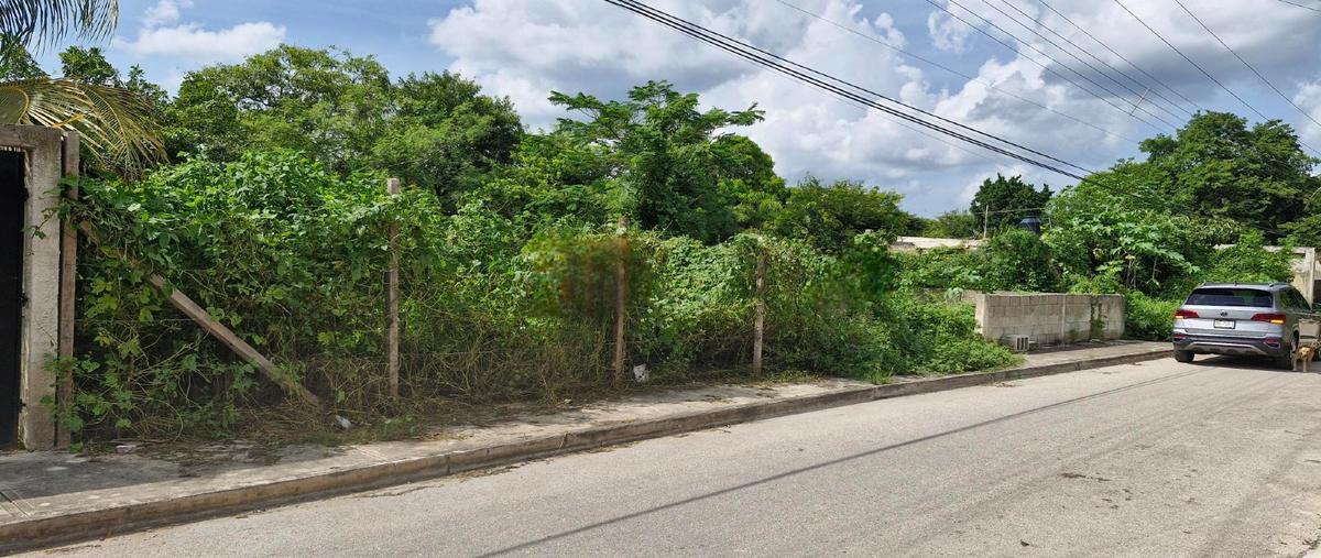 Foto de terreno habitacional en ciudad caucel whi311221, pedregales de ciudad caucel, mérida, yucatán, 0 foto 01 Foto de terreno habitacional en venta en ciudad caucel whi311221, pedregales de ciudad caucel, mérida, yucatán, 0 No. 01