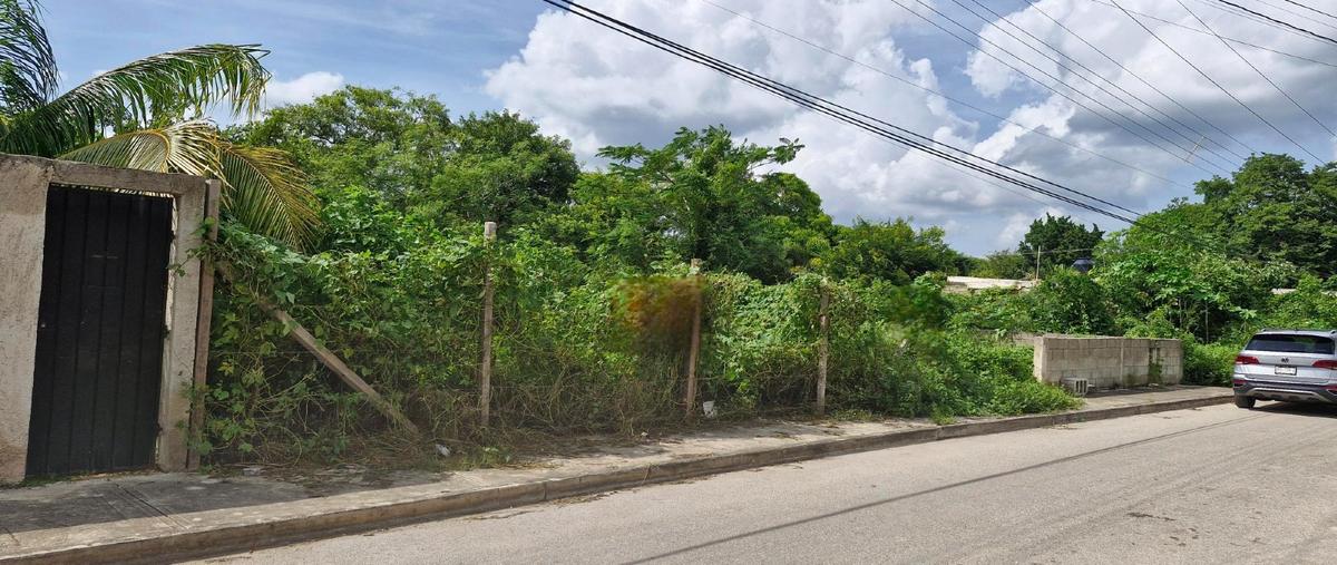 Foto de terreno habitacional en ciudad caucel whi311221, pedregales de ciudad caucel, mérida, yucatán, 0 foto 05 Foto de terreno habitacional en venta en ciudad caucel whi311221, pedregales de ciudad caucel, mérida, yucatán, 0 No. 05