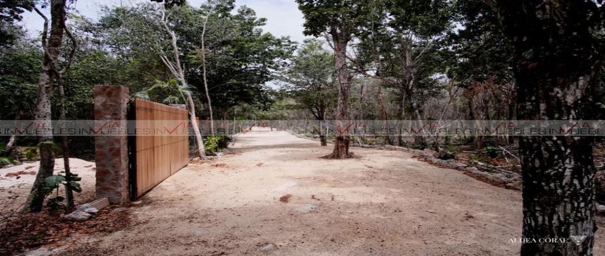 Foto de terreno habitacional en venta en ciudad chemuyil , ciudad chemuyil, tulum, quintana roo, 26224278 No. 03