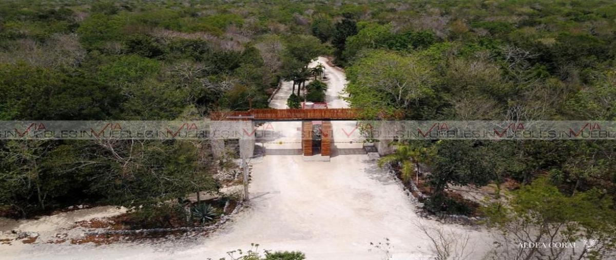 Foto de terreno habitacional en venta en ciudad chemuyil , ciudad chemuyil, tulum, quintana roo, 26224278 No. 04