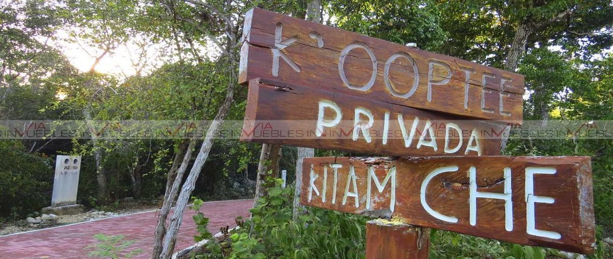 Foto de terreno habitacional en venta en ciudad chemuyil , ciudad chemuyil, tulum, quintana roo, 0 No. 03