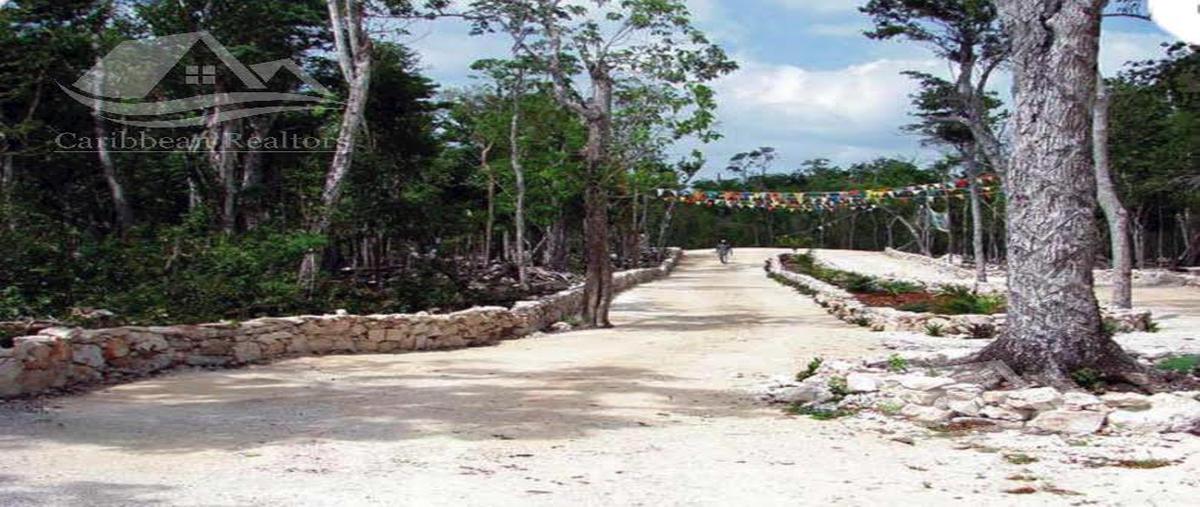 Foto de terreno habitacional en , ciudad chemuyil, tulum, quintana roo, 15152256 foto 02 Foto de terreno habitacional en venta en , ciudad chemuyil, tulum, quintana roo, 15152256 No. 02