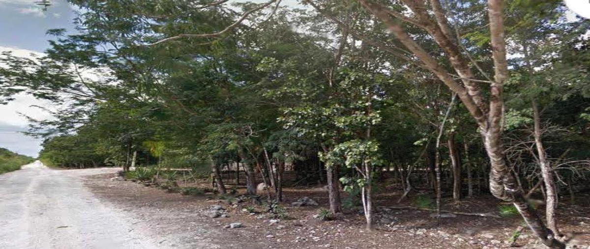 Foto de terreno habitacional en , ciudad chemuyil, tulum, quintana roo, 15152256 foto 03 Foto de terreno habitacional en venta en , ciudad chemuyil, tulum, quintana roo, 15152256 No. 03