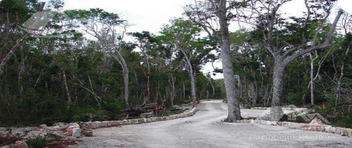 Foto de terreno habitacional en , ciudad chemuyil, tulum, quintana roo, 15152256 foto 04 Foto de terreno habitacional en venta en , ciudad chemuyil, tulum, quintana roo, 15152256 No. 04