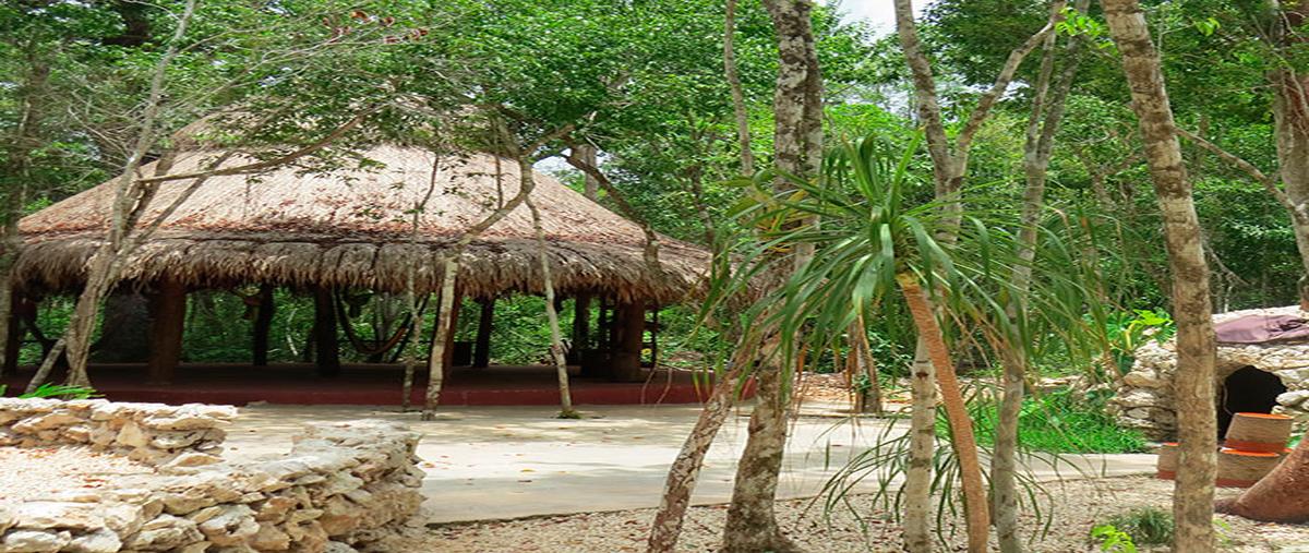 Foto de terreno habitacional en , ciudad chemuyil, tulum, quintana roo, 20136020 foto 04 Foto de terreno habitacional en venta en , ciudad chemuyil, tulum, quintana roo, 20136020 No. 04