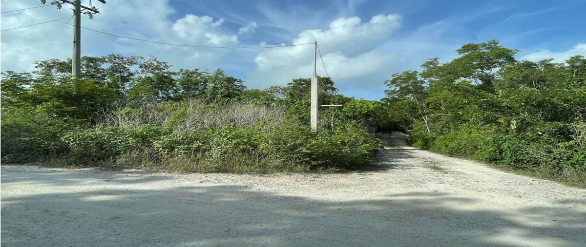 Foto de terreno habitacional en venta en  , ciudad chemuyil, tulum, quintana roo, 0 No. 04