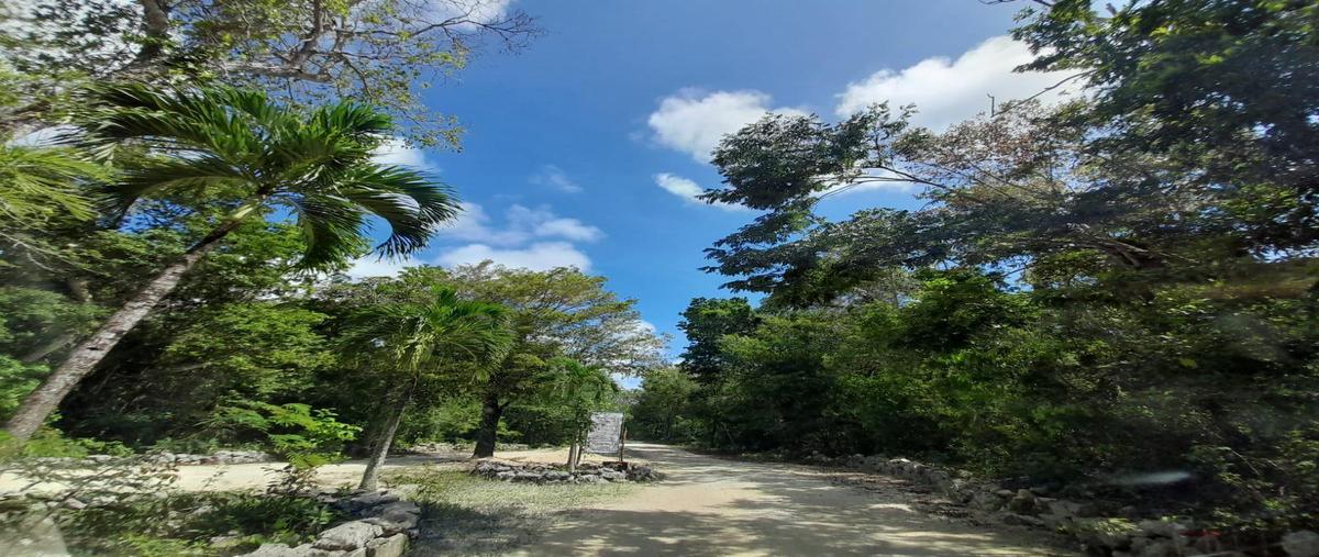 Foto de terreno habitacional en venta en  , ciudad chemuyil, tulum, quintana roo, 25911608 No. 03