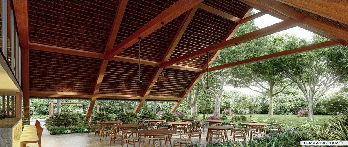 Foto de terreno habitacional en venta en  , ciudad chemuyil, tulum, quintana roo, 26883888 No. 04