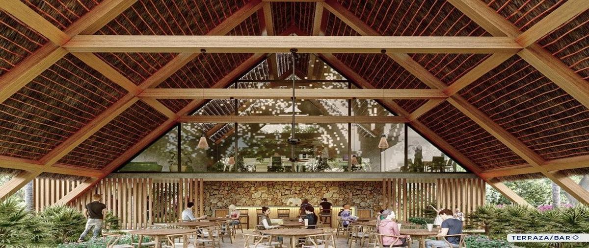 Foto de terreno habitacional en venta en  , ciudad chemuyil, tulum, quintana roo, 26883888 No. 05