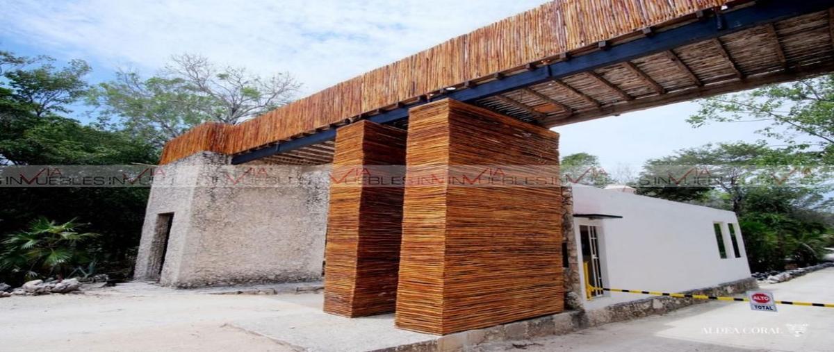 Foto de terreno habitacional en , ciudad chemuyil, tulum, quintana roo, 26961840 foto 01 Foto de terreno habitacional en venta en , ciudad chemuyil, tulum, quintana roo, 26961840 No. 01