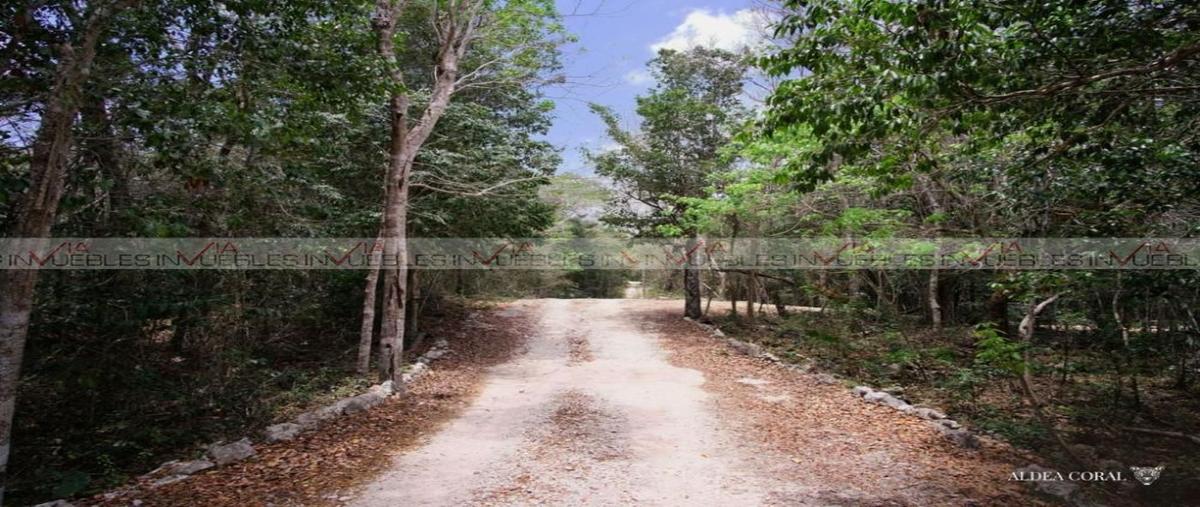 Foto de terreno habitacional en , ciudad chemuyil, tulum, quintana roo, 26961840 foto 05 Foto de terreno habitacional en venta en , ciudad chemuyil, tulum, quintana roo, 26961840 No. 05