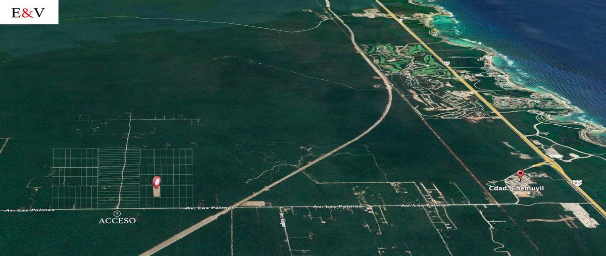 Foto de terreno habitacional en venta en  , ciudad chemuyil, tulum, quintana roo, 28115976 No. 05