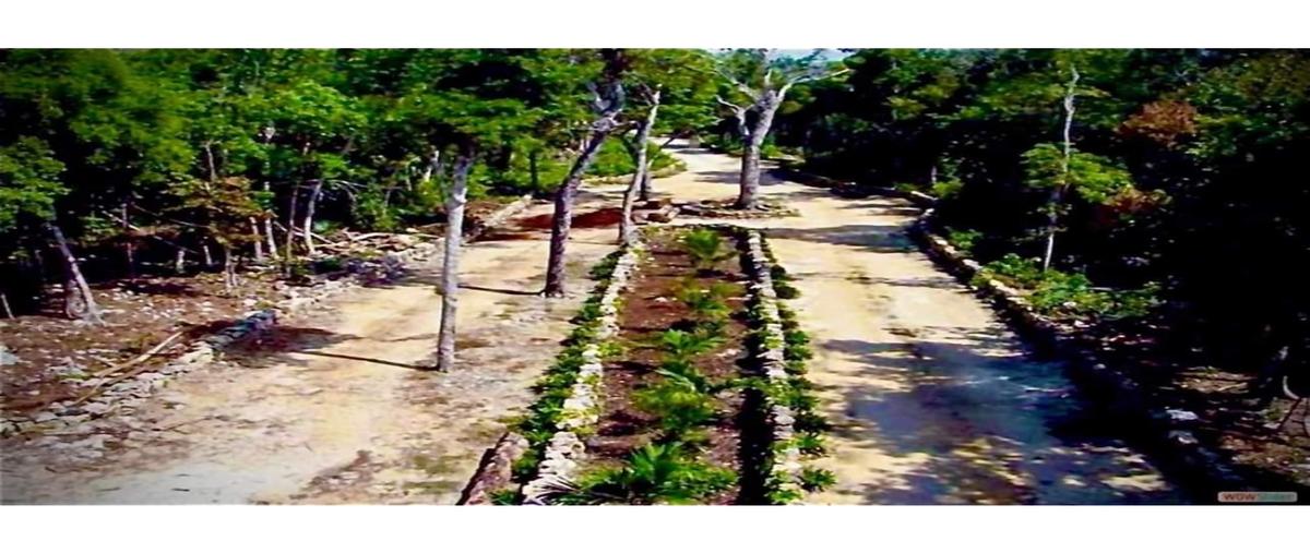 Foto de terreno habitacional en , ciudad chemuyil, tulum, quintana roo, 0 foto 02 Foto de terreno habitacional en venta en , ciudad chemuyil, tulum, quintana roo, 0 No. 02