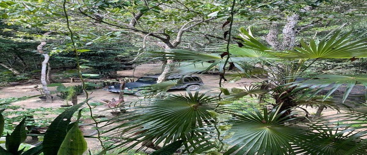 Foto de casa en venta en  , ciudad chemuyil, tulum, quintana roo, 28785186 No. 03