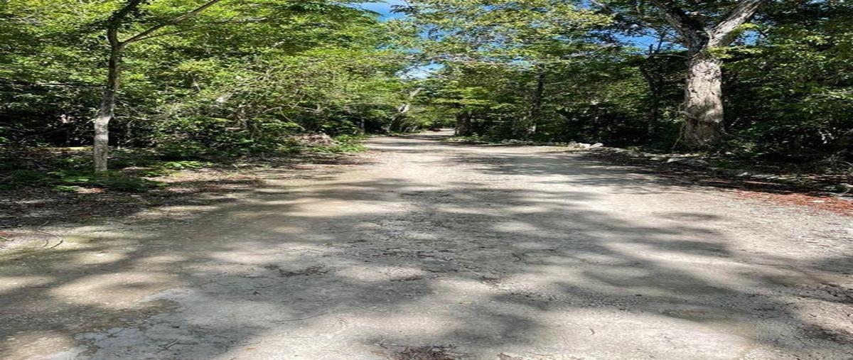 Foto de casa en venta en  , ciudad chemuyil, tulum, quintana roo, 28785186 No. 05