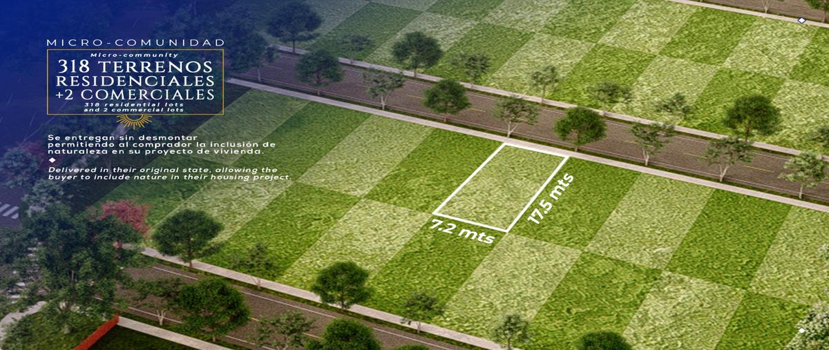 Foto de terreno habitacional en venta en  , ciudad chemuyil, tulum, quintana roo, 0 No. 05