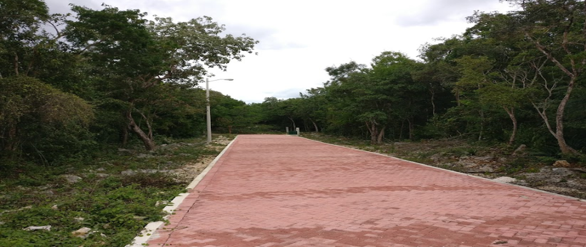 Foto de terreno habitacional en venta en  , ciudad chemuyil, tulum, quintana roo, 29245450 No. 03