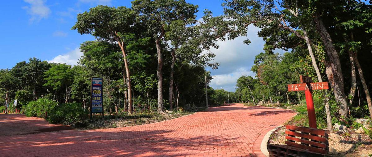 Foto de terreno habitacional en , ciudad chemuyil, tulum, quintana roo, 0 foto 05 Foto de terreno habitacional en venta en , ciudad chemuyil, tulum, quintana roo, 0 No. 05
