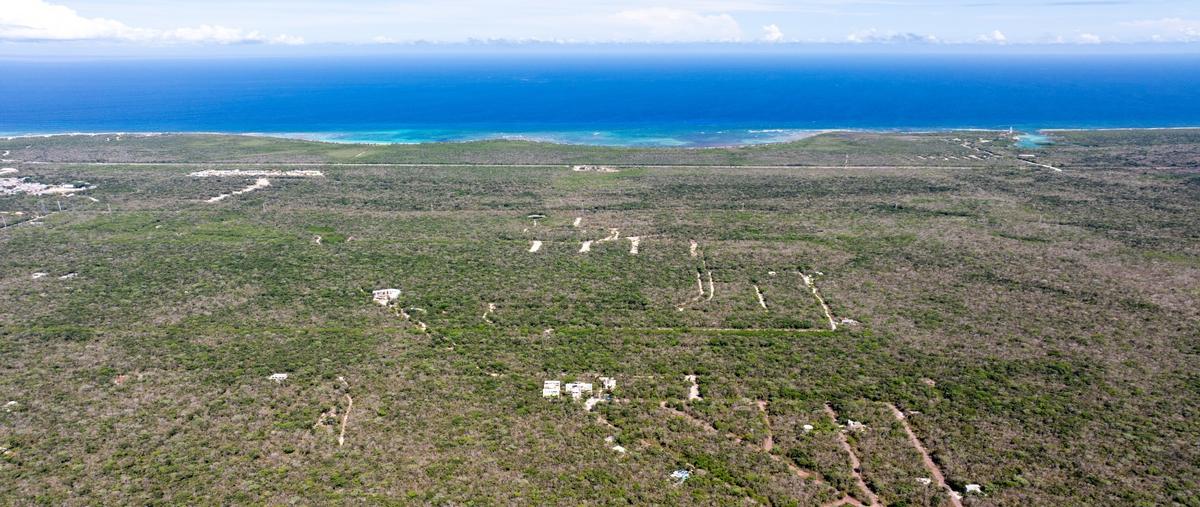 Foto de casa en venta en  , ciudad chemuyil, tulum, quintana roo, 29891017 No. 03