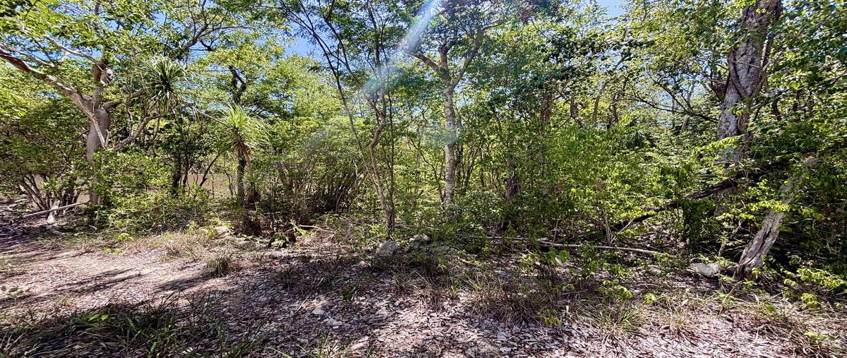Foto de terreno habitacional en , ciudad chemuyil, tulum, quintana roo, 30342714 foto 04 Foto de terreno habitacional en venta en , ciudad chemuyil, tulum, quintana roo, 30342714 No. 04