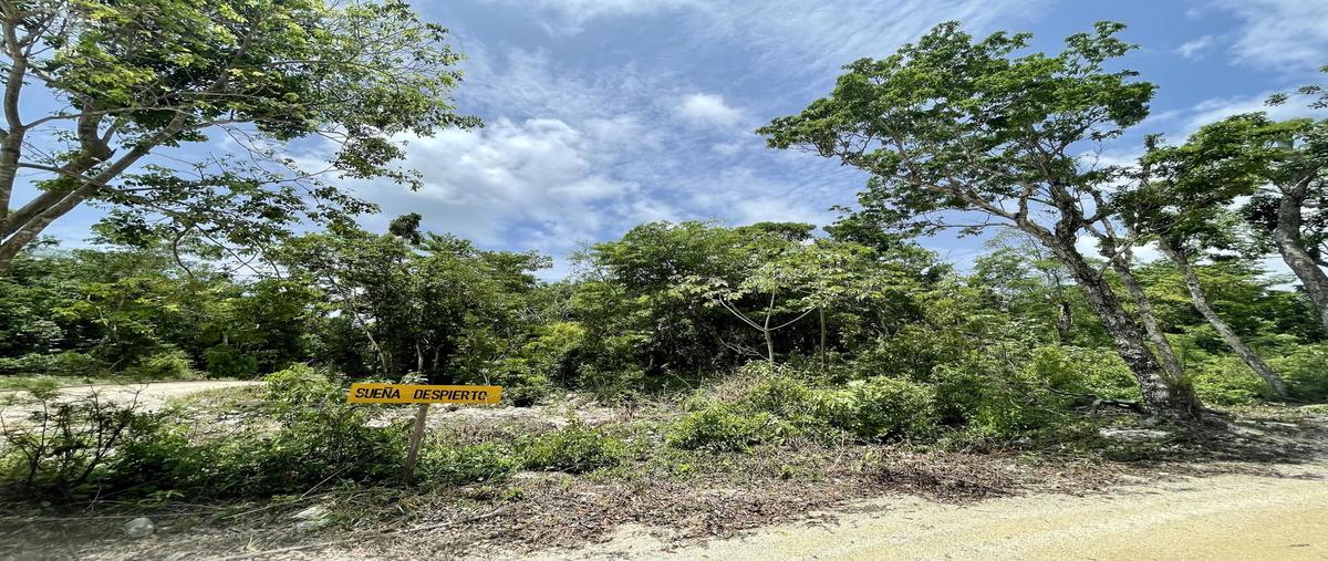 Foto de terreno habitacional en , ciudad chemuyil, tulum, quintana roo, 0 foto 05 Foto de terreno habitacional en venta en , ciudad chemuyil, tulum, quintana roo, 0 No. 05