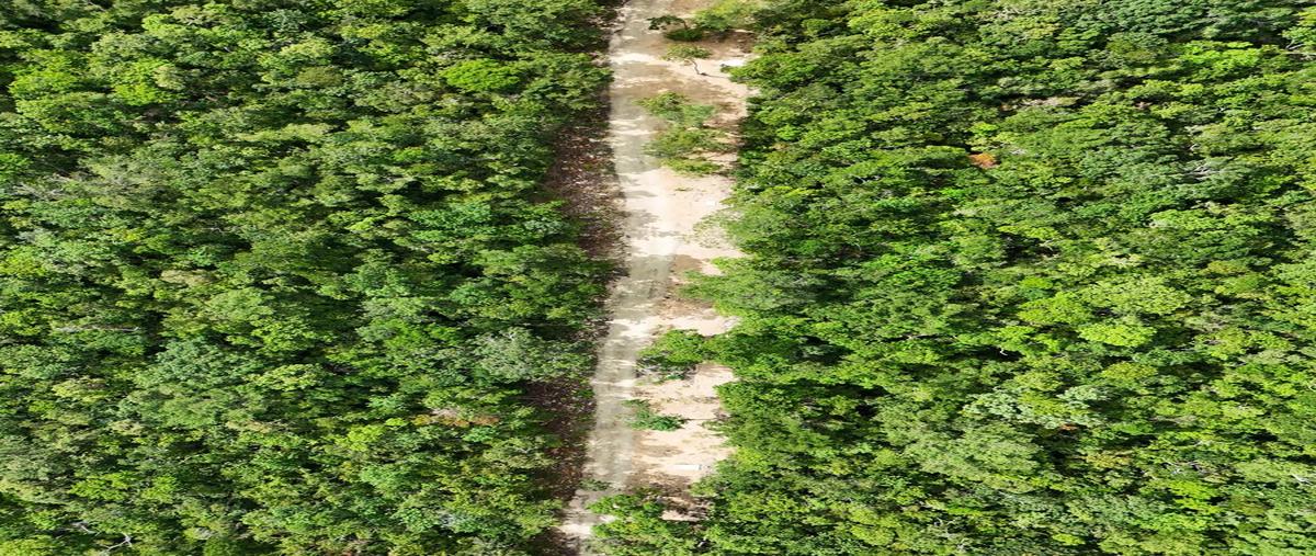 Foto de terreno habitacional en venta en  , ciudad chemuyil, tulum, quintana roo, 0 No. 03