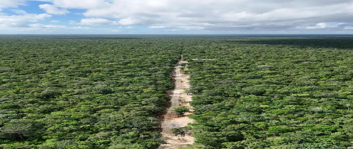 Foto de terreno habitacional en venta en  , ciudad chemuyil, tulum, quintana roo, 0 No. 04