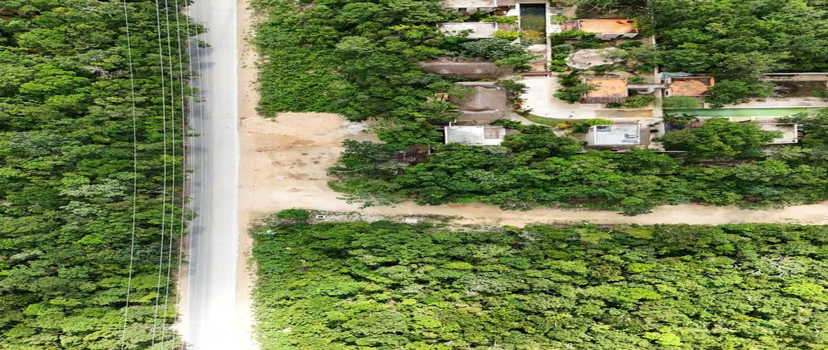 Foto de terreno habitacional en venta en  , ciudad chemuyil, tulum, quintana roo, 0 No. 05