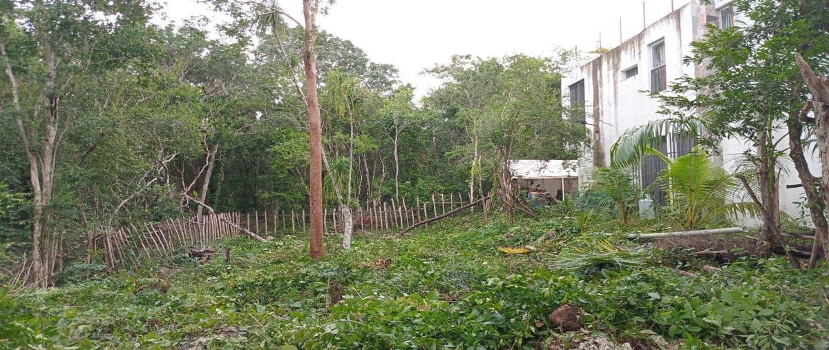 Foto de terreno habitacional en venta en  , ciudad chemuyil, tulum, quintana roo, 0 No. 03