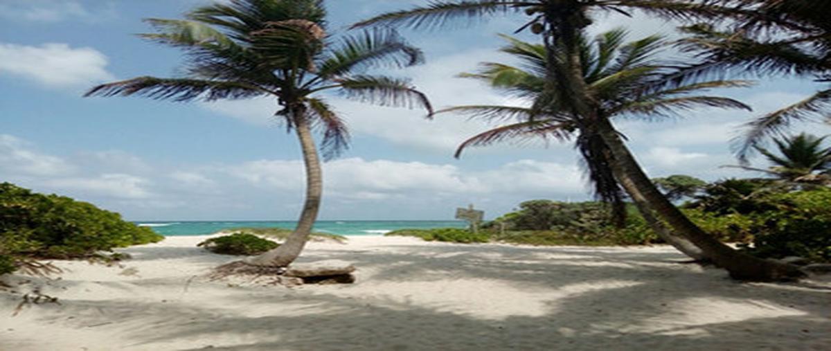 Foto de terreno habitacional en venta en  , ciudad chemuyil, tulum, quintana roo, 0 No. 03