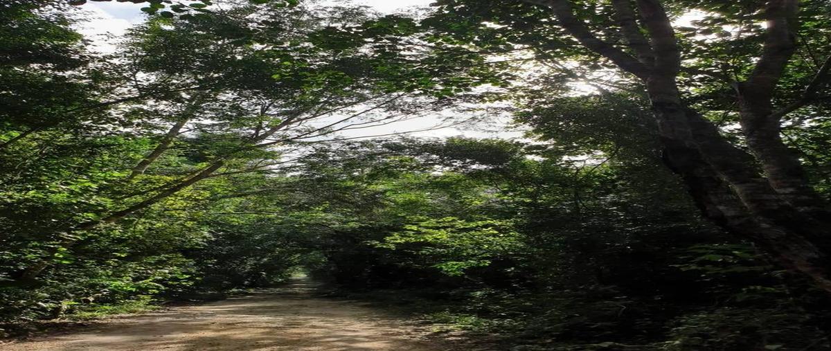 Foto de terreno habitacional en venta en  , ciudad chemuyil, tulum, quintana roo, 0 No. 03