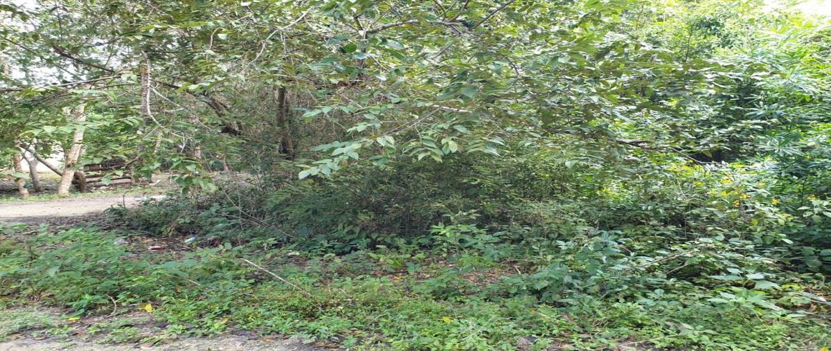 Foto de terreno habitacional en venta en  , ciudad chemuyil, tulum, quintana roo, 0 No. 04