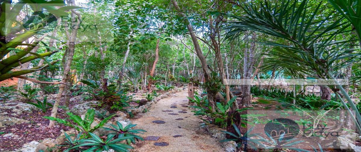 Foto de departamento en venta en  , ciudad chemuyil, tulum, quintana roo, 30794269 No. 03