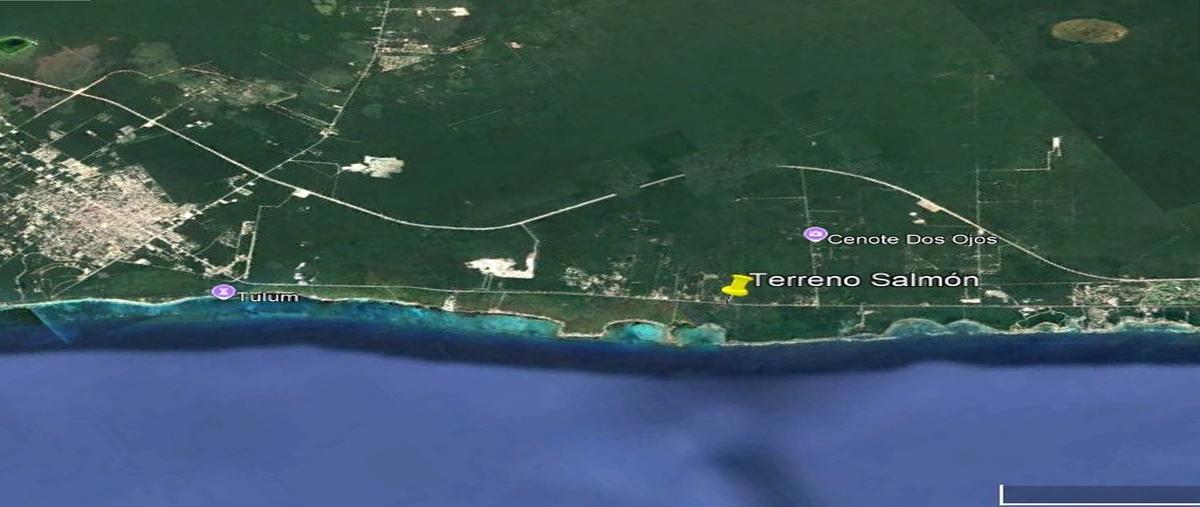 Foto de terreno habitacional en venta en  , ciudad chemuyil, tulum, quintana roo, 30813435 No. 04