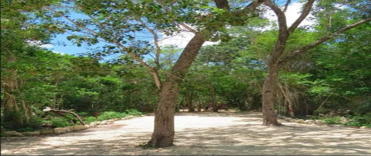 Foto de terreno habitacional en venta en  , ciudad chemuyil, tulum, quintana roo, 0 No. 05