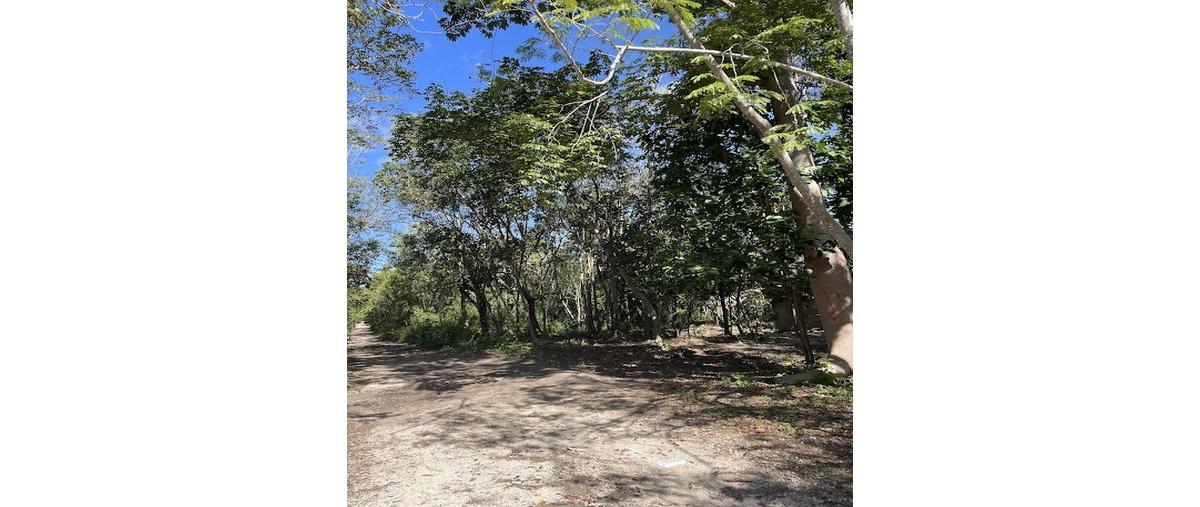 Foto de terreno habitacional en , ciudad chemuyil, tulum, quintana roo, 30872794 foto 03 Foto de terreno habitacional en venta en , ciudad chemuyil, tulum, quintana roo, 30872794 No. 03