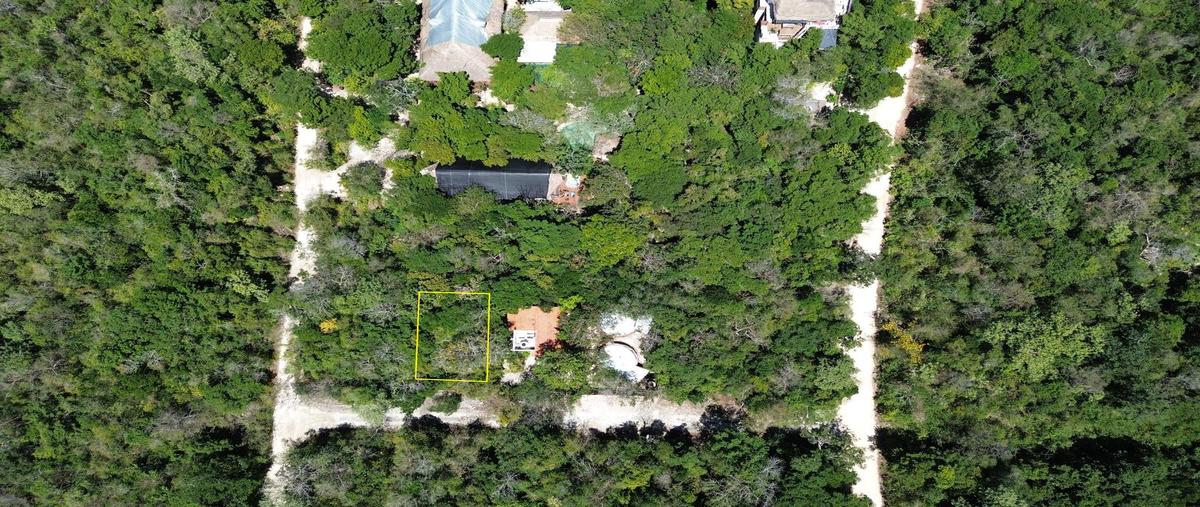 Foto de terreno habitacional en , ciudad chemuyil, tulum, quintana roo, 30962284 foto 01 Foto de terreno habitacional en venta en , ciudad chemuyil, tulum, quintana roo, 30962284 No. 01