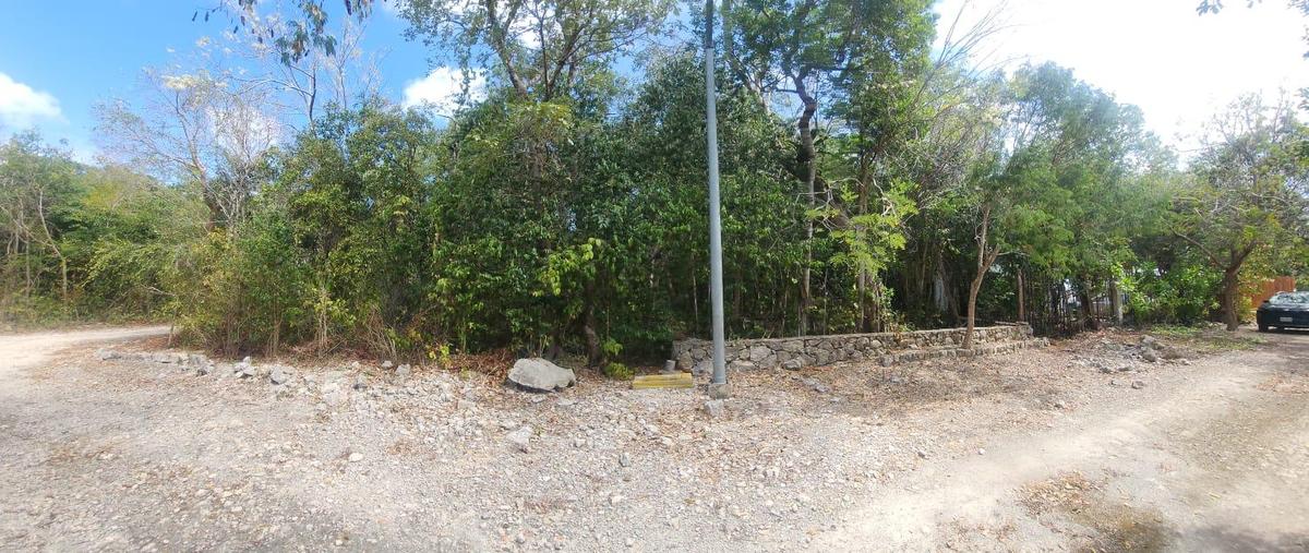 Foto de terreno habitacional en , ciudad chemuyil, tulum, quintana roo, 30962284 foto 02 Foto de terreno habitacional en venta en , ciudad chemuyil, tulum, quintana roo, 30962284 No. 02