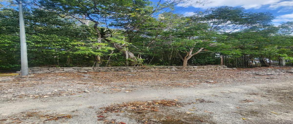 Foto de terreno habitacional en , ciudad chemuyil, tulum, quintana roo, 30962284 foto 03 Foto de terreno habitacional en venta en , ciudad chemuyil, tulum, quintana roo, 30962284 No. 03