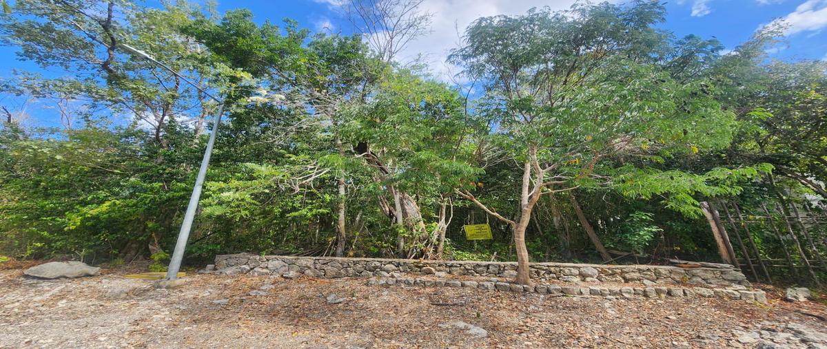 Foto de terreno habitacional en , ciudad chemuyil, tulum, quintana roo, 30962284 foto 05 Foto de terreno habitacional en venta en , ciudad chemuyil, tulum, quintana roo, 30962284 No. 05