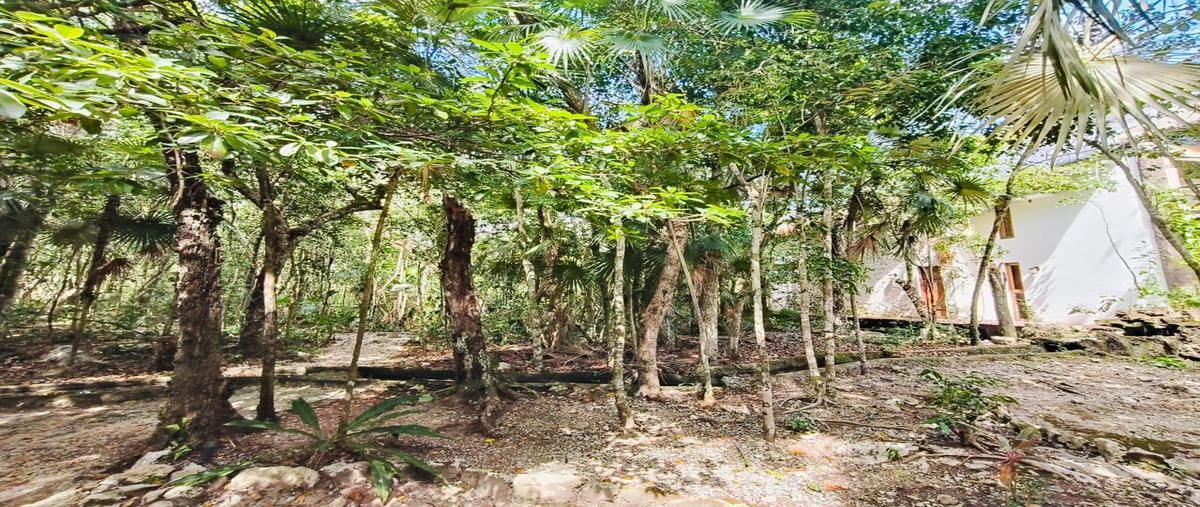 Foto de terreno habitacional en , ciudad chemuyil, tulum, quintana roo, 30967069 foto 02 Foto de terreno habitacional en venta en , ciudad chemuyil, tulum, quintana roo, 30967069 No. 02