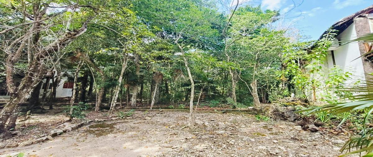 Foto de terreno habitacional en , ciudad chemuyil, tulum, quintana roo, 30967069 foto 05 Foto de terreno habitacional en venta en , ciudad chemuyil, tulum, quintana roo, 30967069 No. 05
